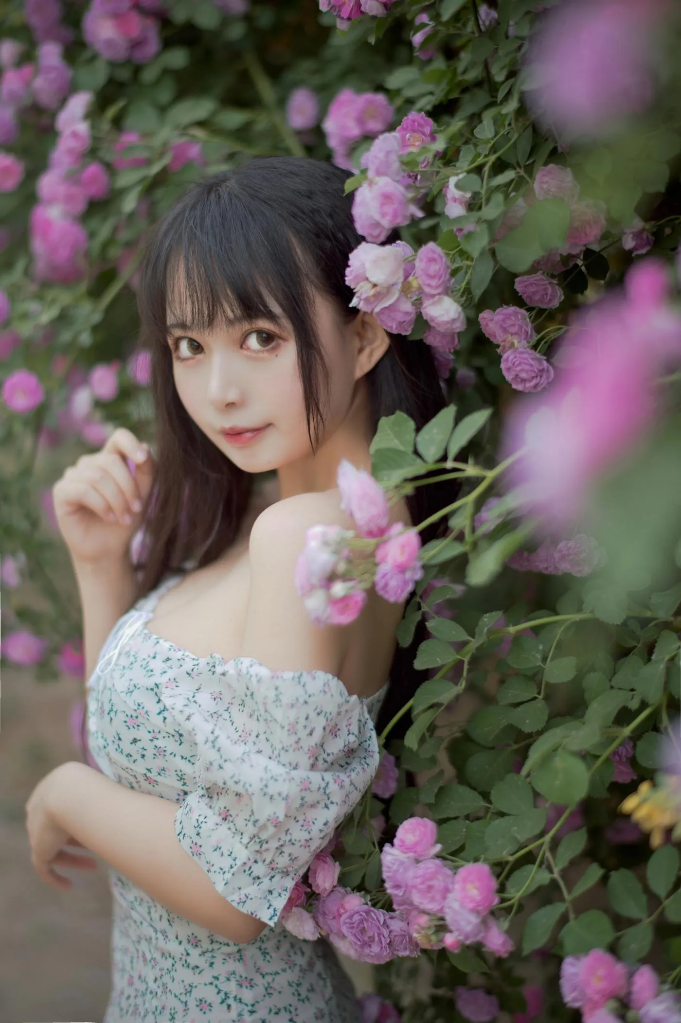 黑猫猫OvO – NO.23 蔷薇2 [27P]插图8